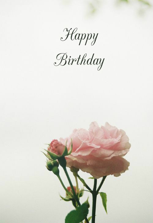 Birthday Quotes With Flowers
 Pretty Rose Happy Birthday Quote s and