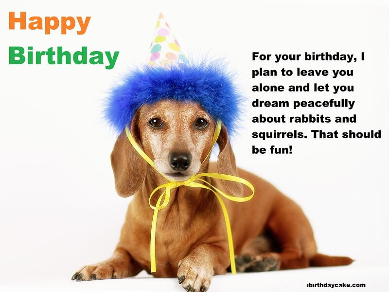 Birthday Wishes For Dogs
 Birthday wishes from your dog