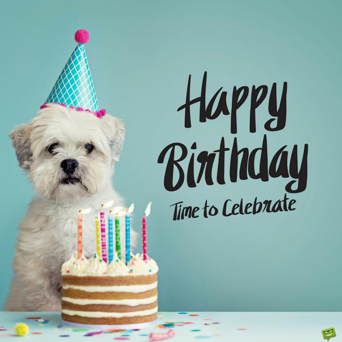 Birthday Wishes For Dogs
 Happy Birthday Cute Dog