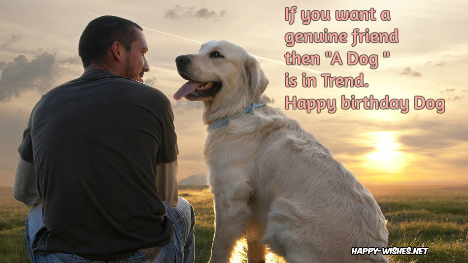 Birthday Wishes For Dogs
 Happy Birthday Wishes For Dog Quotes & Memes