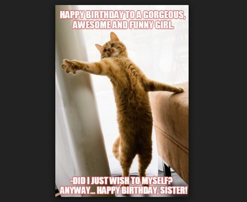 Birthday Wishes For Sister Funny
 40 Birthday Memes For Sister