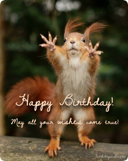 Birthday Wishes Humor
 Top 50 Funny Birthday Wishes For Friend And Humorous