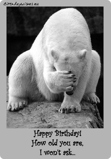 Birthday Wishes Humor
 Top 50 Funny Birthday Wishes For Friend And Humorous