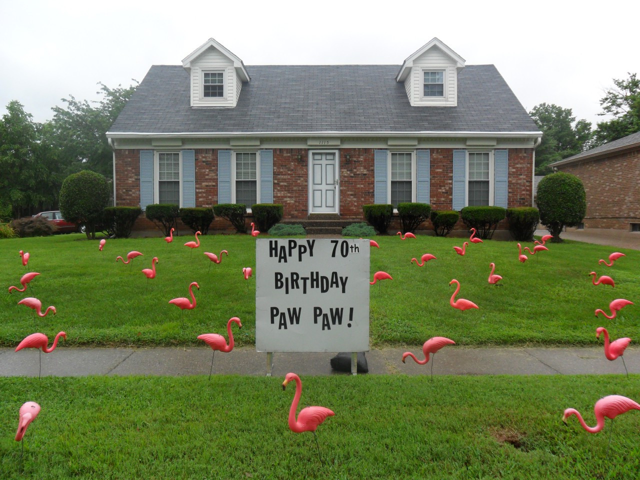 Birthday Yard Decorations
 Flamingo Lawn Display For Birthdays Anniversary Etc