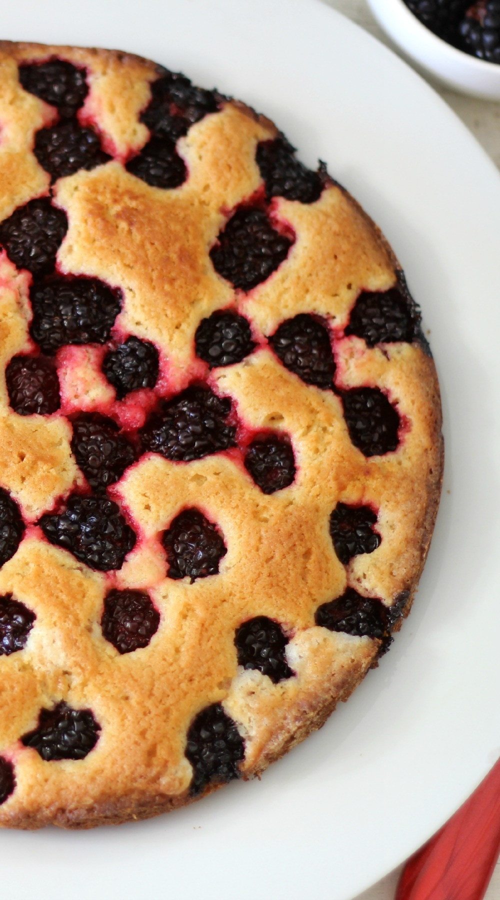 Blackberry Cake Recipe
 Blackberry Cake SundaySupper