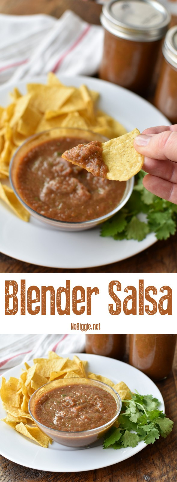 Blender Salsa Recipe
 Homemade Blender Salsa