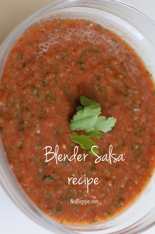 Blender Salsa Recipe
 25 fresh tomato recipes NoBiggie