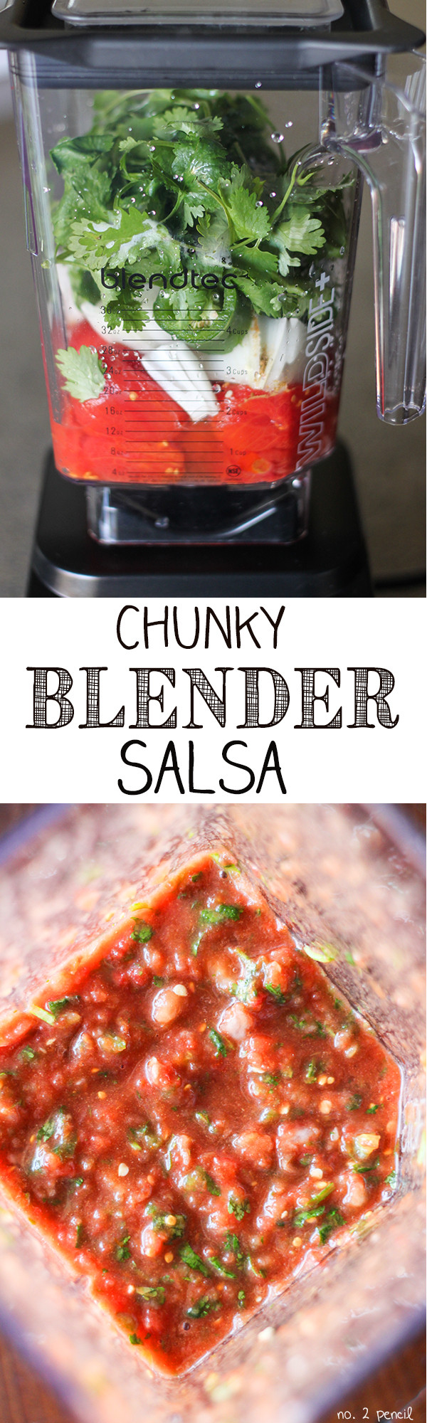 Blender Salsa Recipe
 Chunky Blender Salsa