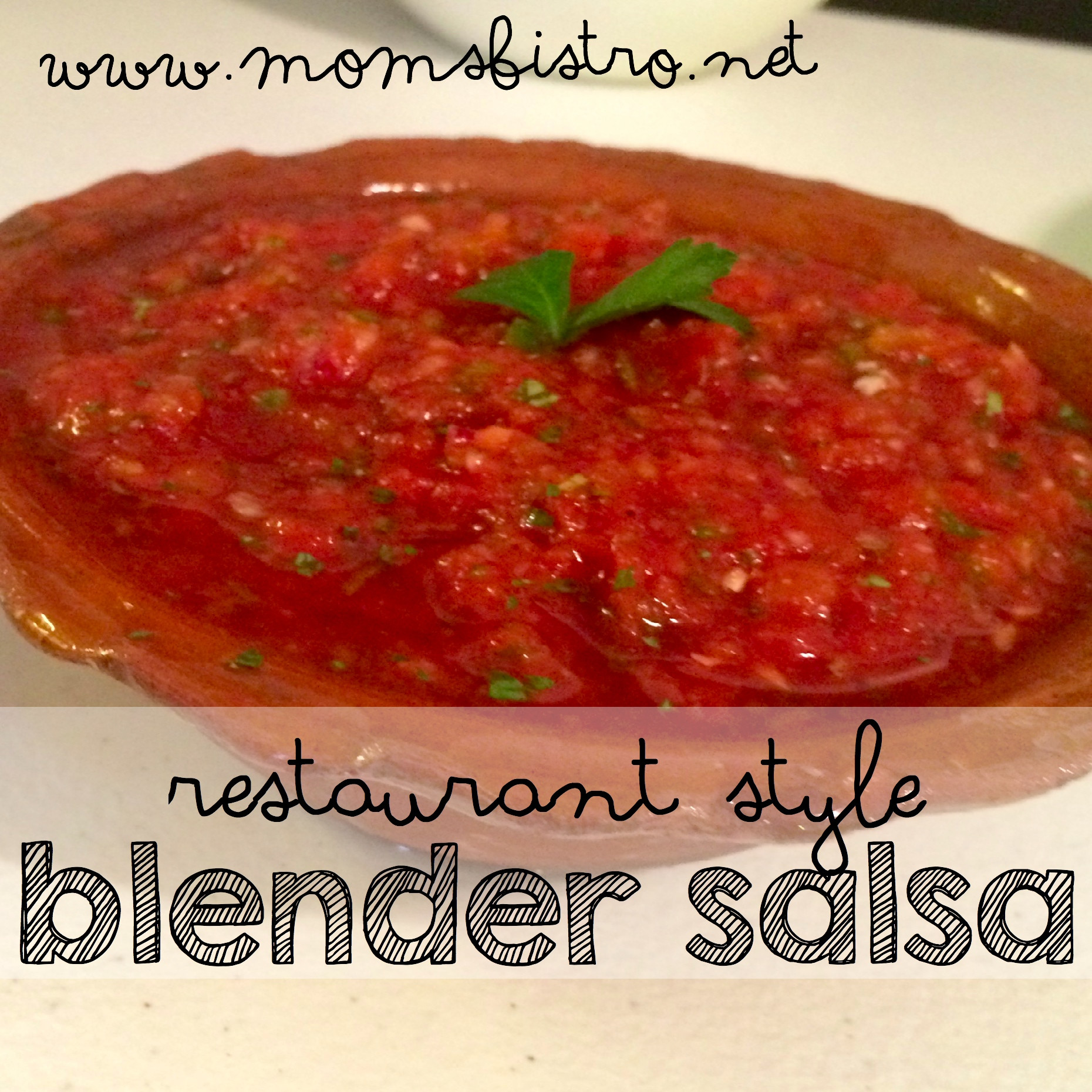 Blender Salsa Recipe
 Simple Snack Solutions Easy Restaurant Style Blender