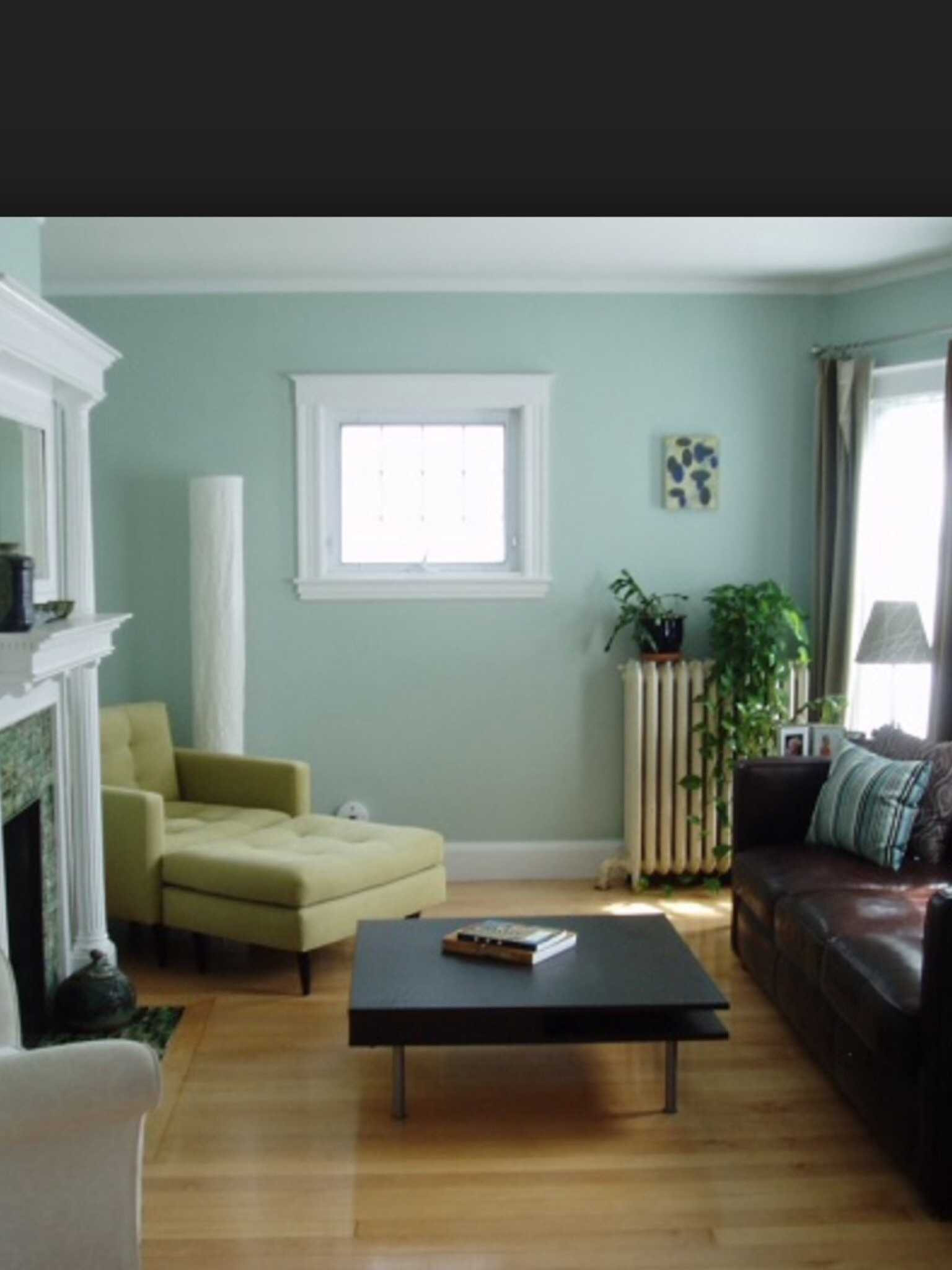 Blue Paint Living Room
 Blue Blue green paint for living room The colour I want