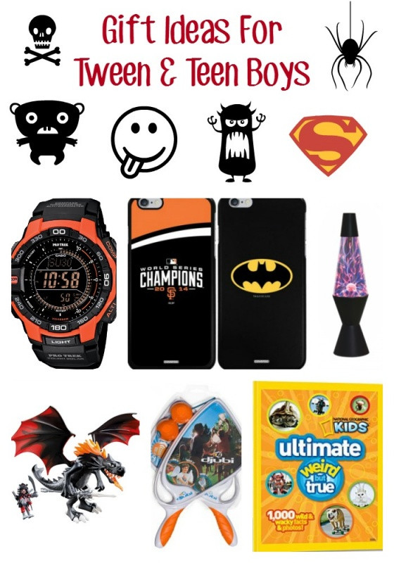 Boy Christmas Gift Ideas
 Gift Ideas For Tween & Teen Boys