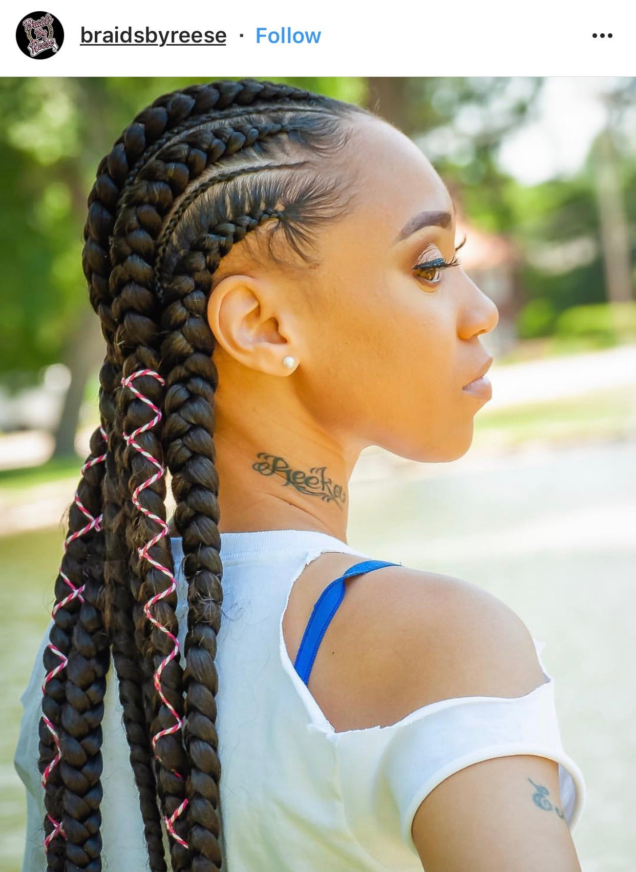 Braided Hairstyle Pictures
 Protective Styles 101 Must See Feed In Braids Essence