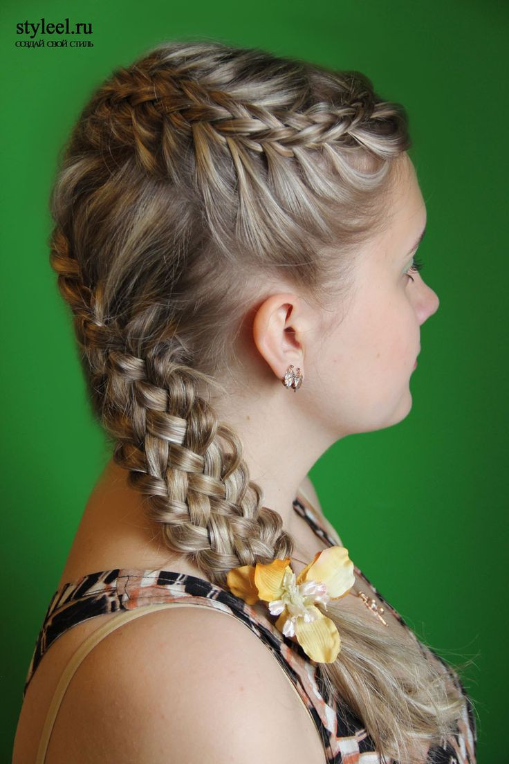 Braided Hairstyle Pictures
 briad hairstyles