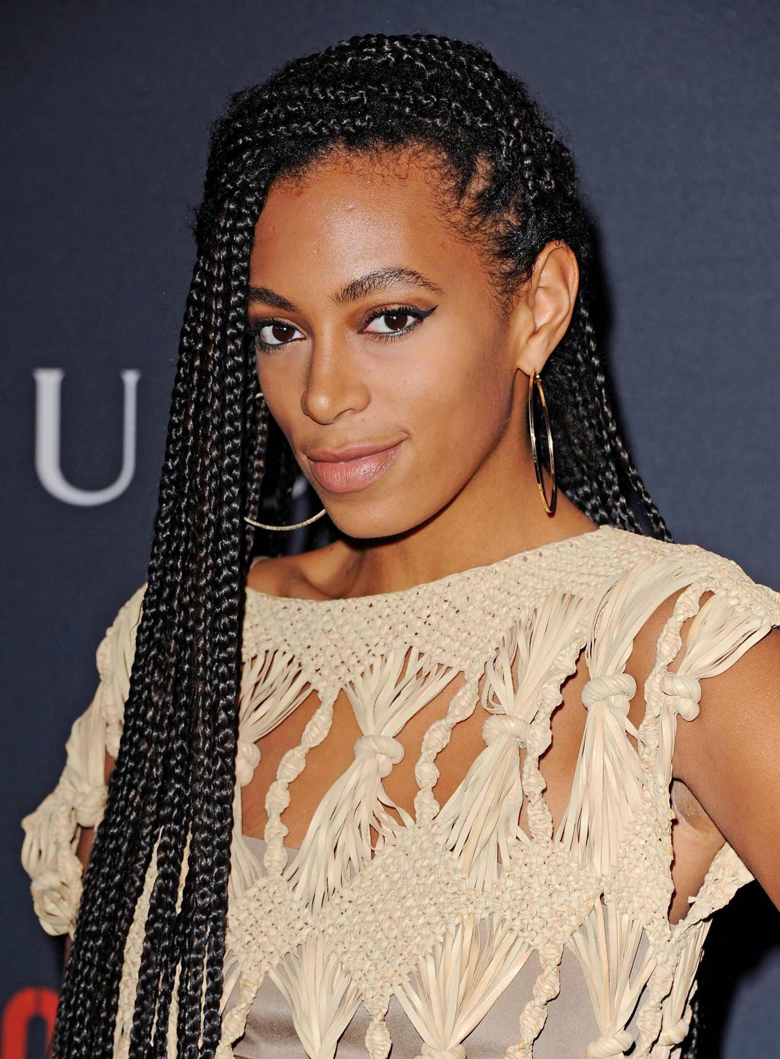 Braiding Hairstyles
 Celebrity Box Braids Hairstyles To Get Ispired With