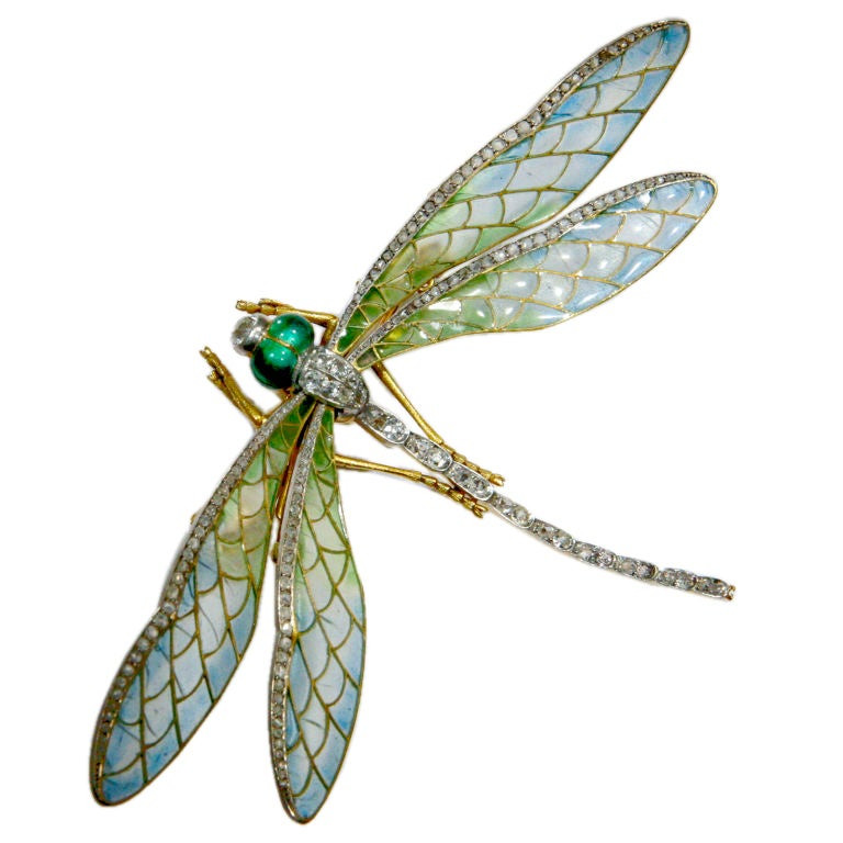 id j 1113 Brooches Drawing
Art Nouveau Dragonfly Brooch at 1stdibs
