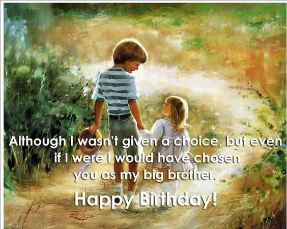 Brother Birthday Quotes From Sister
 Funny Sister Birthday Quotes Wishes Sayings from Brother