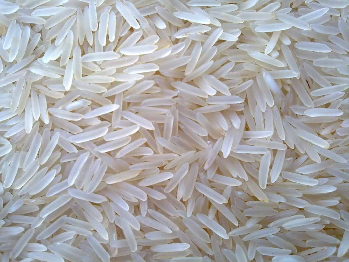 Brown Rice Price
 Non Basmati and Basmati Rice Prices India 24 12 2019