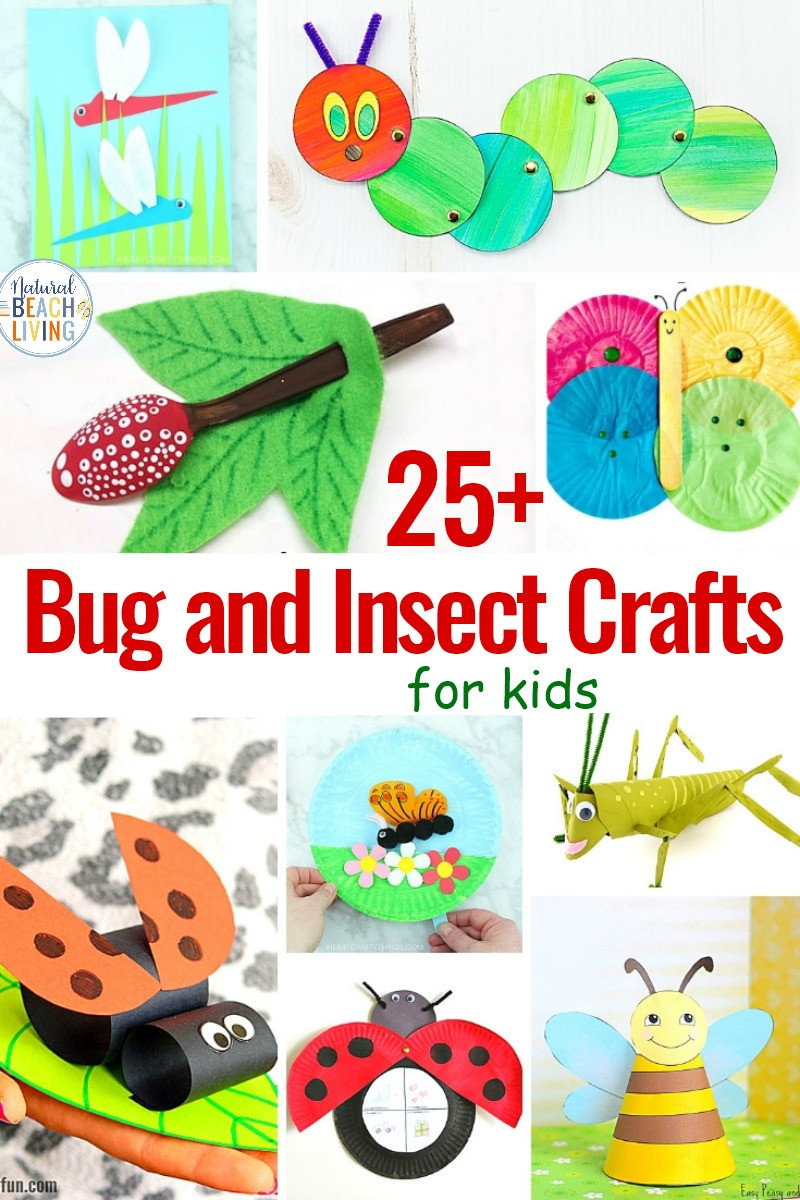 Bug Crafts For Kids
 25 Bug and Insect Crafts for Kids Natural Beach Living