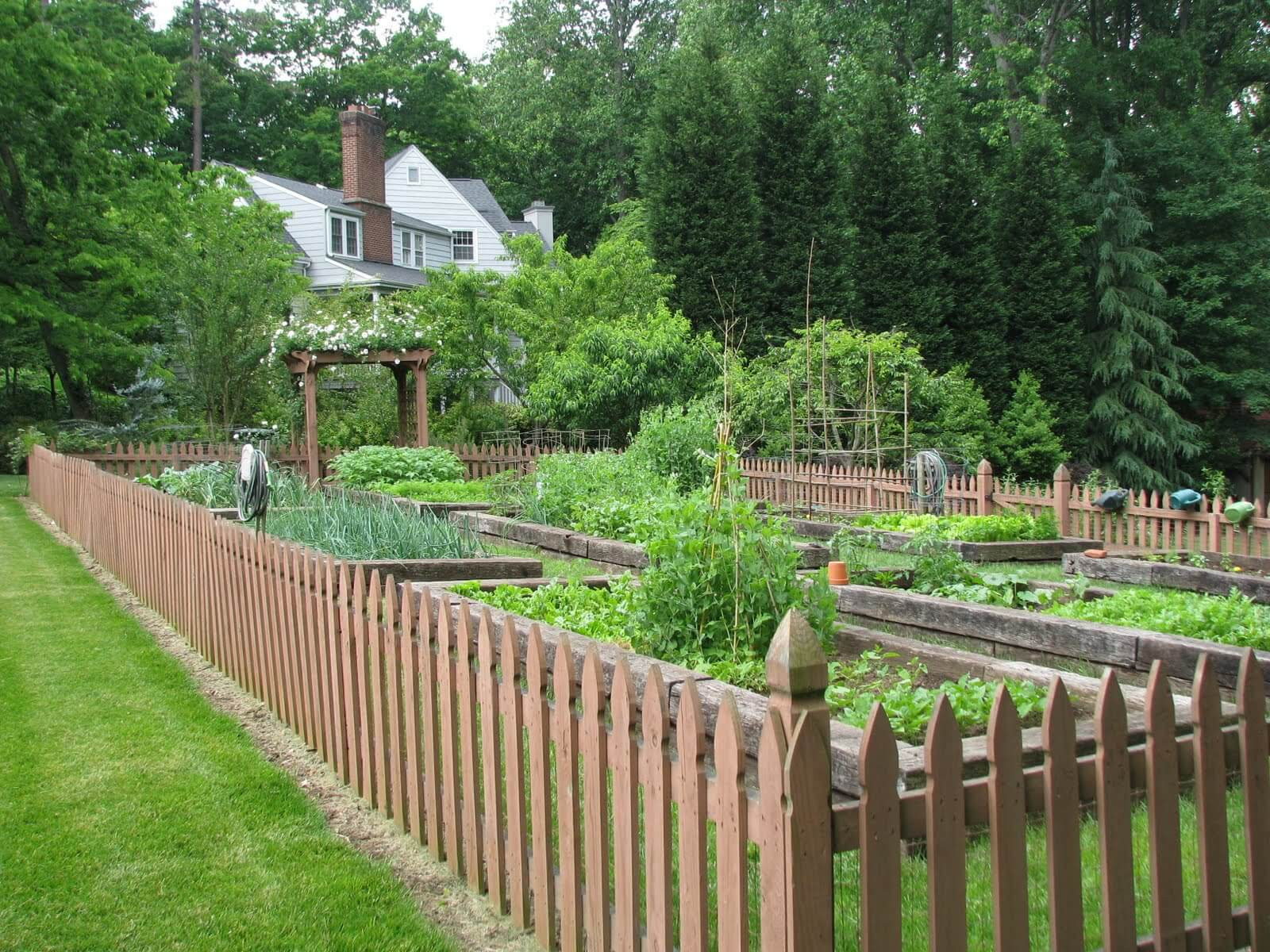 Building A Backyard Fence
 Cheap Fence Ideas To Embellish Your Garden And Your Home