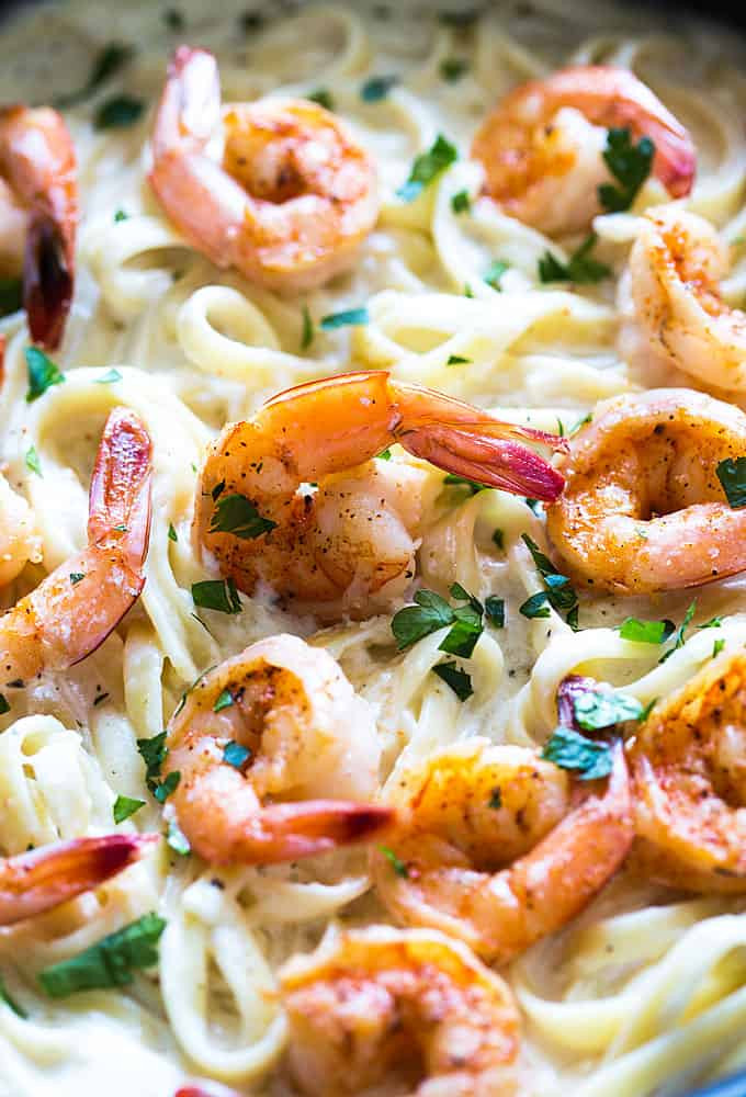 Cajun Shrimp Pasta Alfredo Cajun Shrimp Alfredo