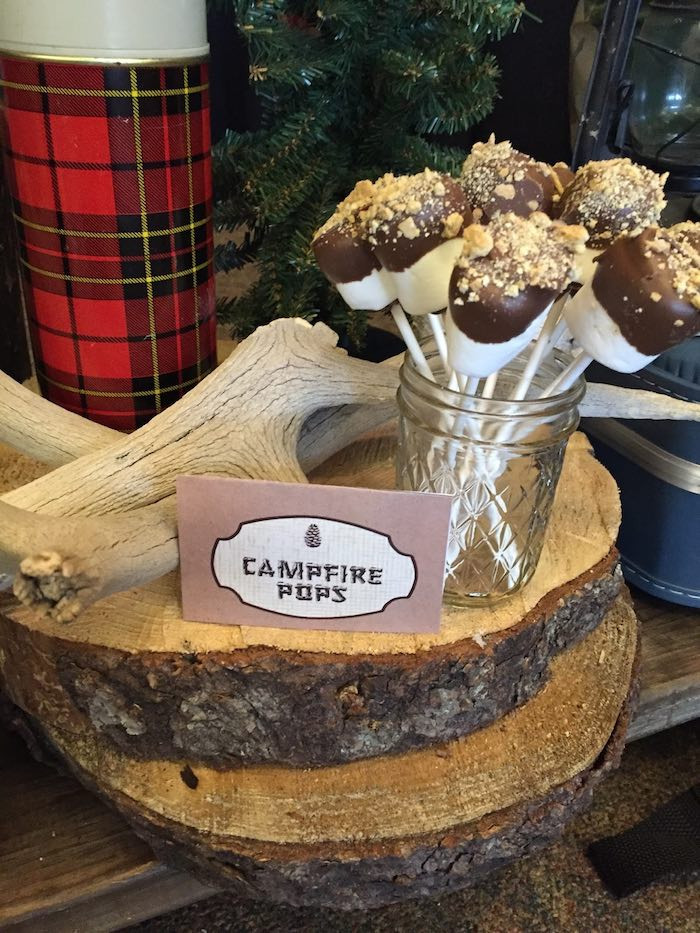 Campfire Birthday Party Ideas
 Kara s Party Ideas Campfire Pops from a Rustic Camping