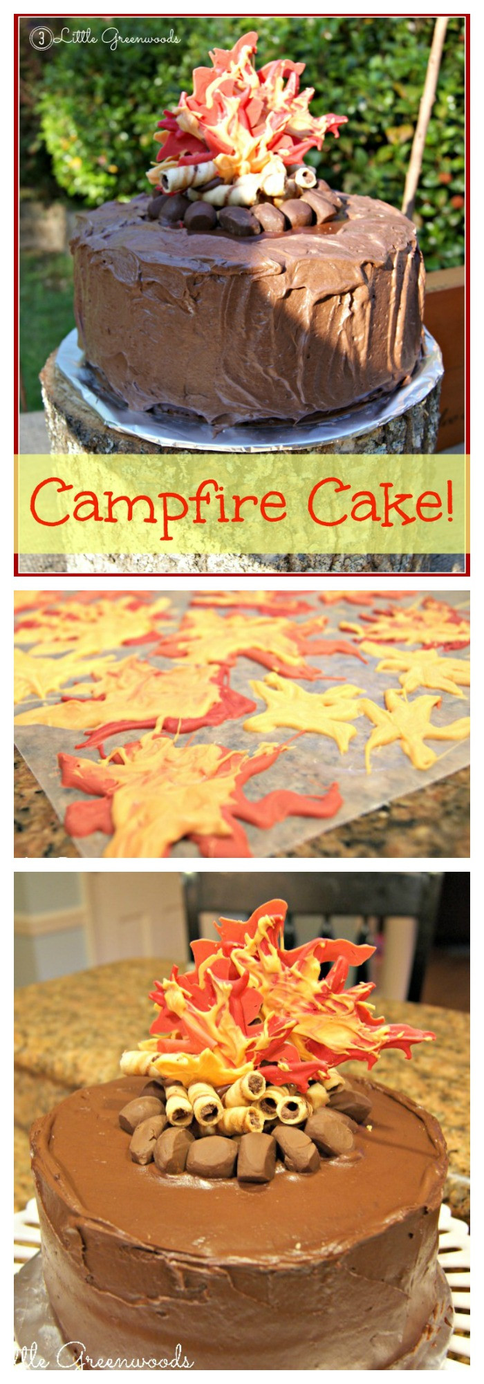 Campfire Birthday Party Ideas
 How to Make a Campfire Birthday Cake