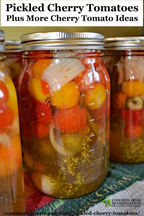 Canning Cherry Tomatoes Recipes
 Pickled Cherry Tomatoes for Canning Plus More Cherry