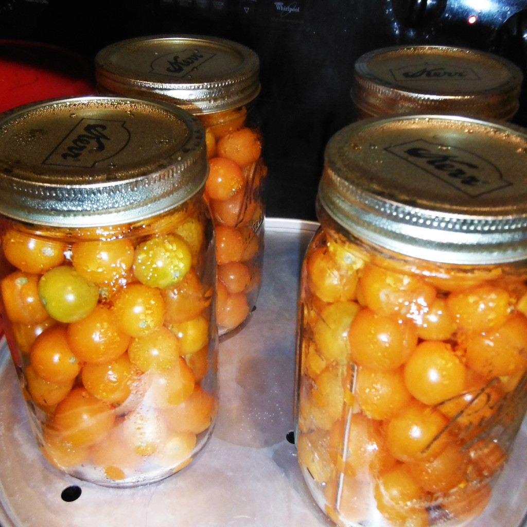Canning Cherry Tomatoes Recipes
 How to Can Cherry Tomatoes Easy