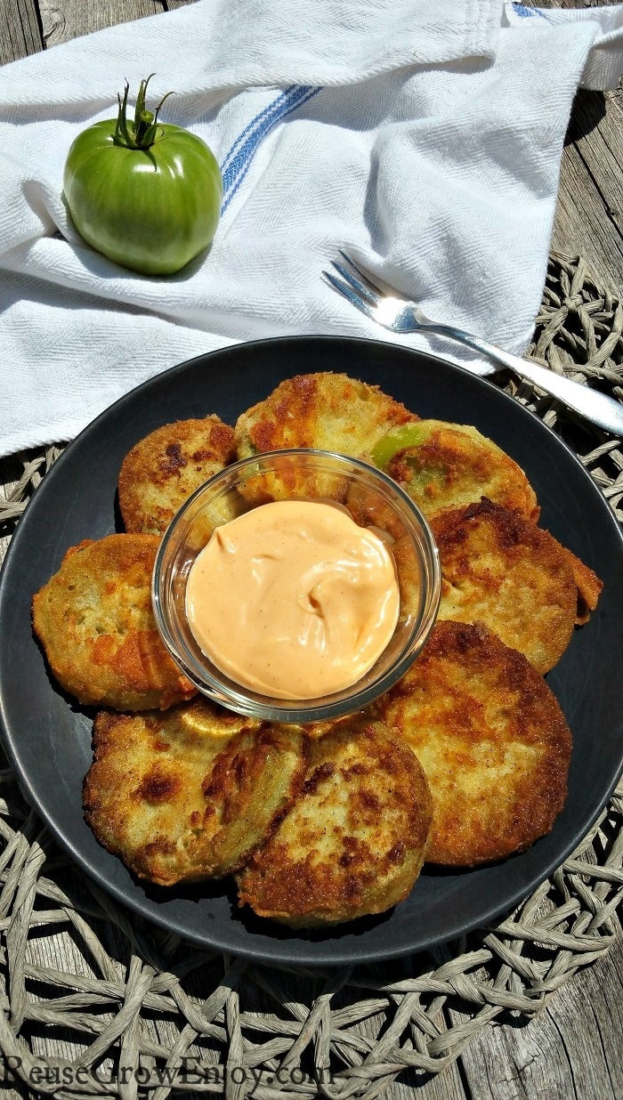 Carbs In Tomato Sauce
 Low Carb Fried Green Tomatoes With Spicy Dipping Sauce