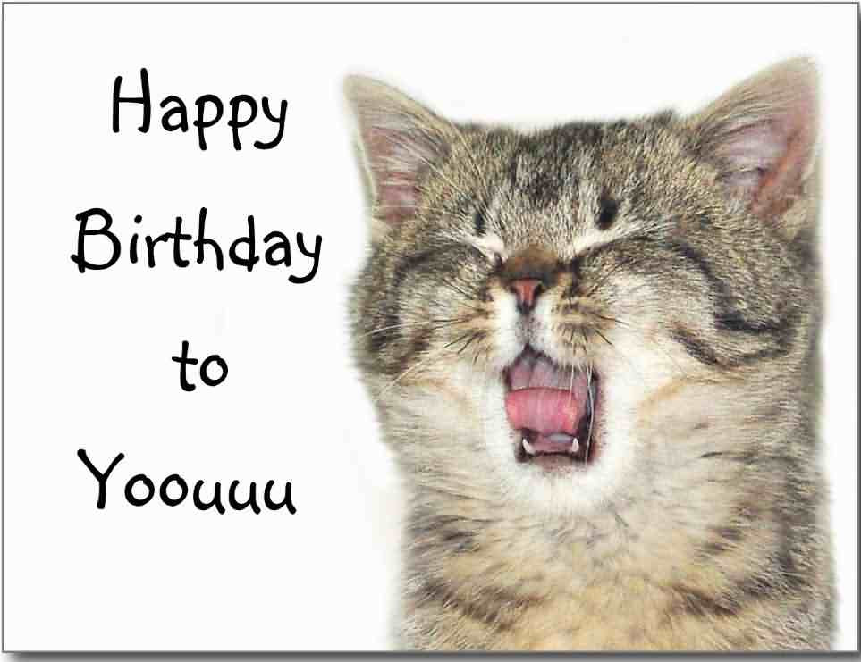 Cat Birthday Wishes
 41 Best Funny Birthday Wishes For Birthday Boy Girl Aunt