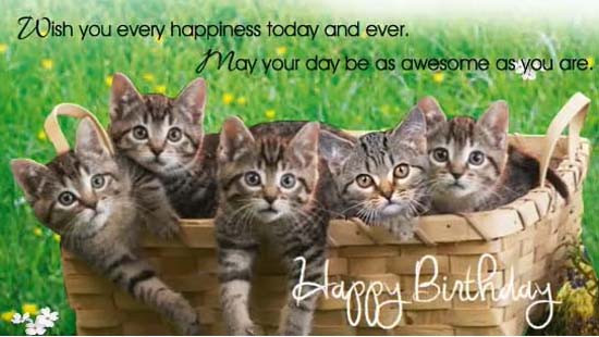 Cat Birthday Wishes
 Birthday Kitties Free Birthday Wishes eCards Greeting