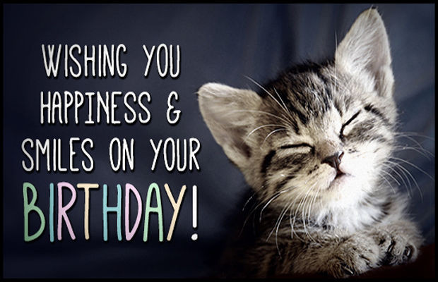 Cat Birthday Wishes
 Birthday Wishes With Cats Page 6