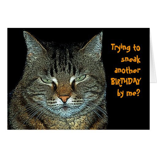 Cat Birthday Wishes
 Cat birthday wishes card
