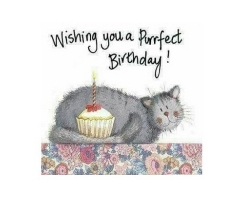 Cat Birthday Wishes
 45 Cat Birthday Memes