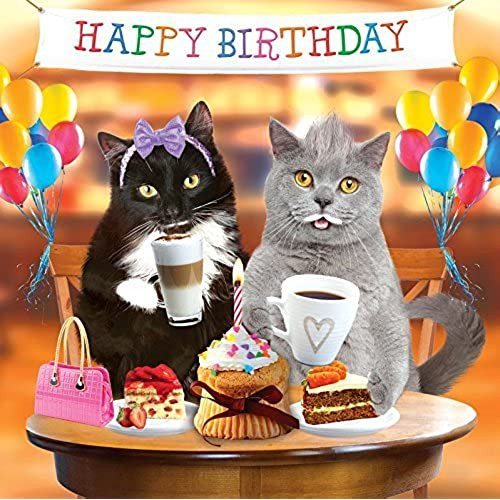 Cat Birthday Wishes
 Cat Birthday Card Amazon