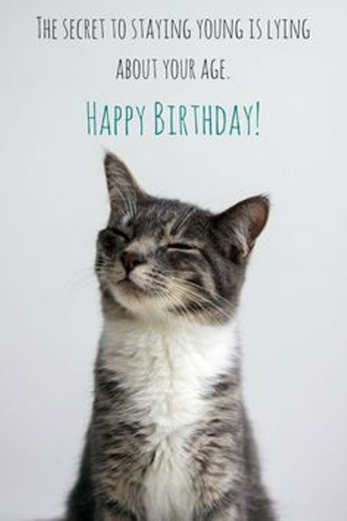 Cat Birthday Wishes
 Cat Birthday Wishes Wishes Greetings – Wish Guy