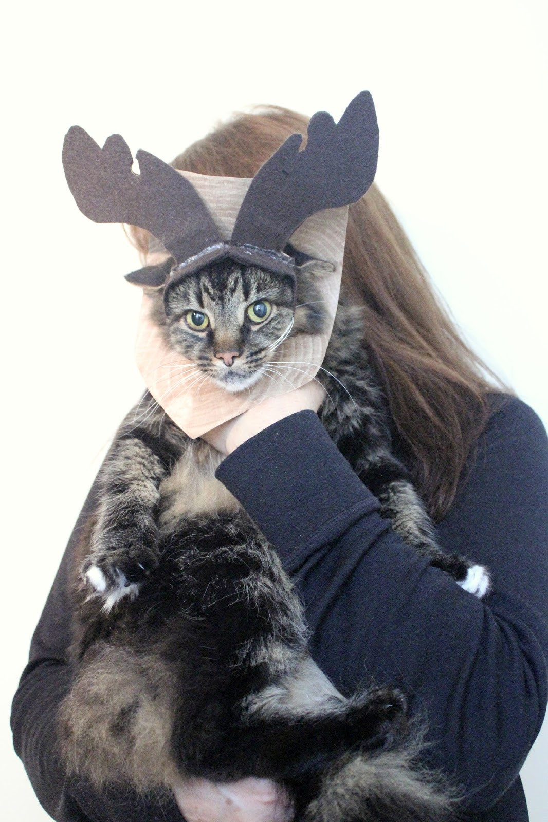 Cat Costumes DIY
 EAT SLEEP MAKE MichaelsMakers The Incredible Mounted