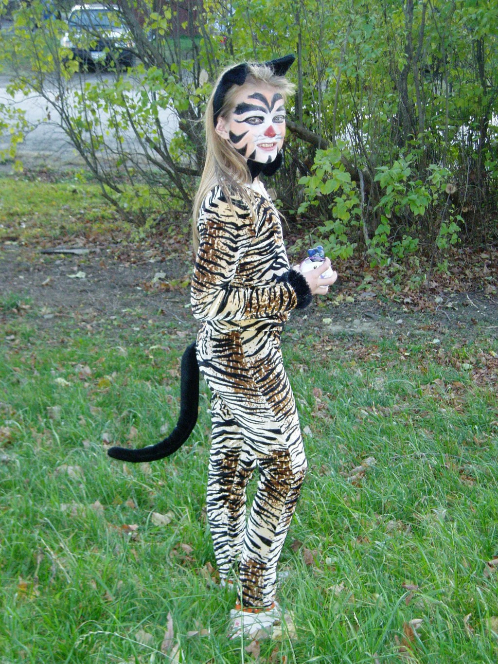 Cat Costumes DIY
 Halloween Cat Costume