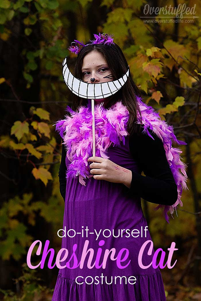 Cat DIY Costume
 Top 10 Cheshire Cat Costume Ideas For Halloween