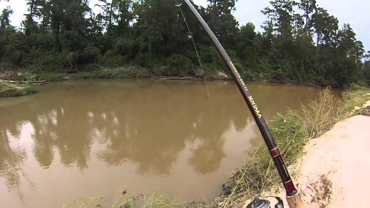 Catfishing With Hot Dogs
 Muddy River Catfishing Chicken Liver Chum Bait VS Hot Dogs