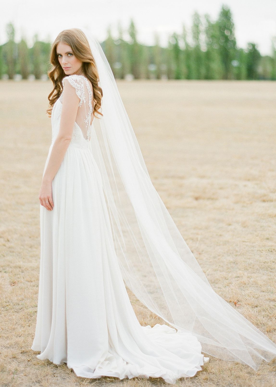 Cathedral Length Wedding Veil
 WYNTER