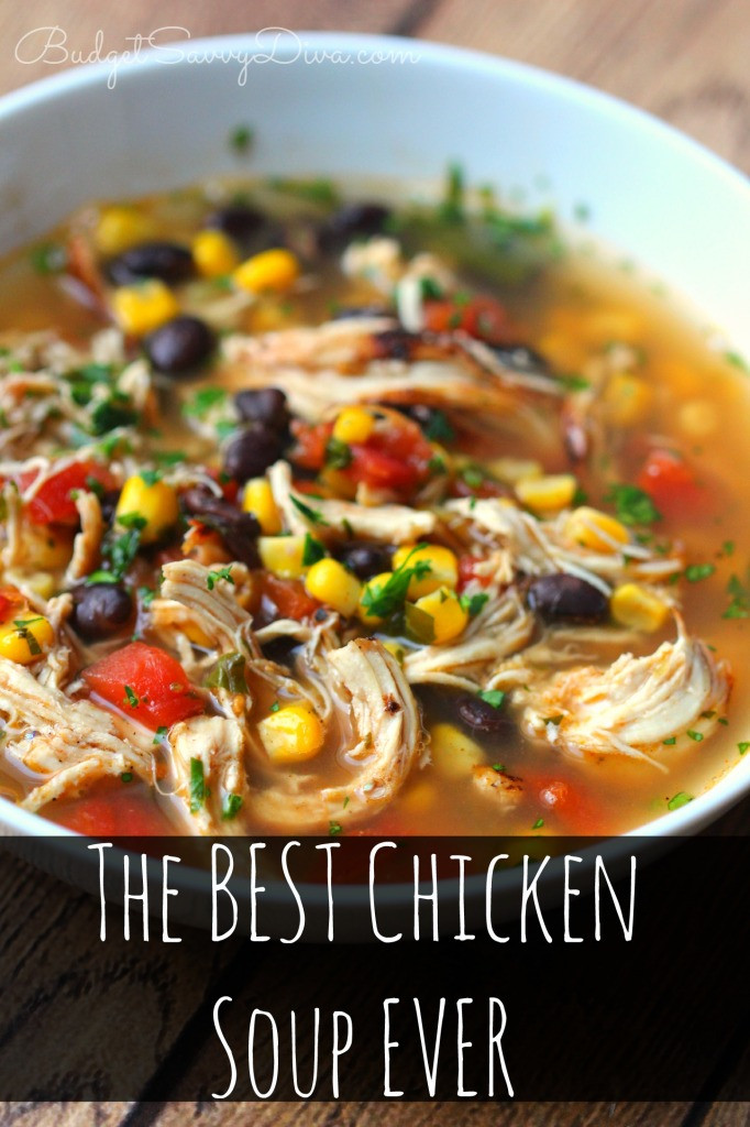 Chicken Broth Soup Recipes
 The BEST Chicken Soup Ever Recipe