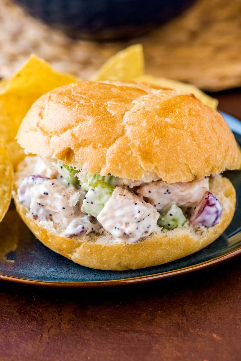 Chicken Salad Sandwich Recipe With Grapes And Pecans
 Chicken Salad with Grapes Homemade Hooplah