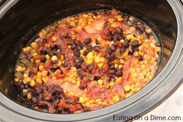 Chicken Salsa Crockpot Recipe
 Crockpot Salsa Chicken Recipe Eating on a Dime