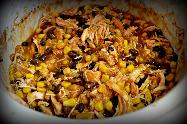 Chicken Salsa Crockpot Recipe
 The Weekend Crockpot Salsa Chicken Recipe Peanut