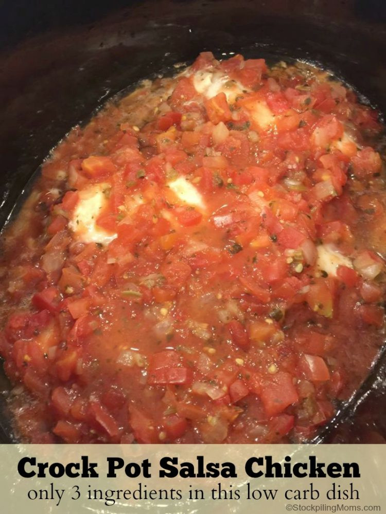 Chicken Salsa Crockpot Recipe
 Crock Pot Salsa Chicken Recipe