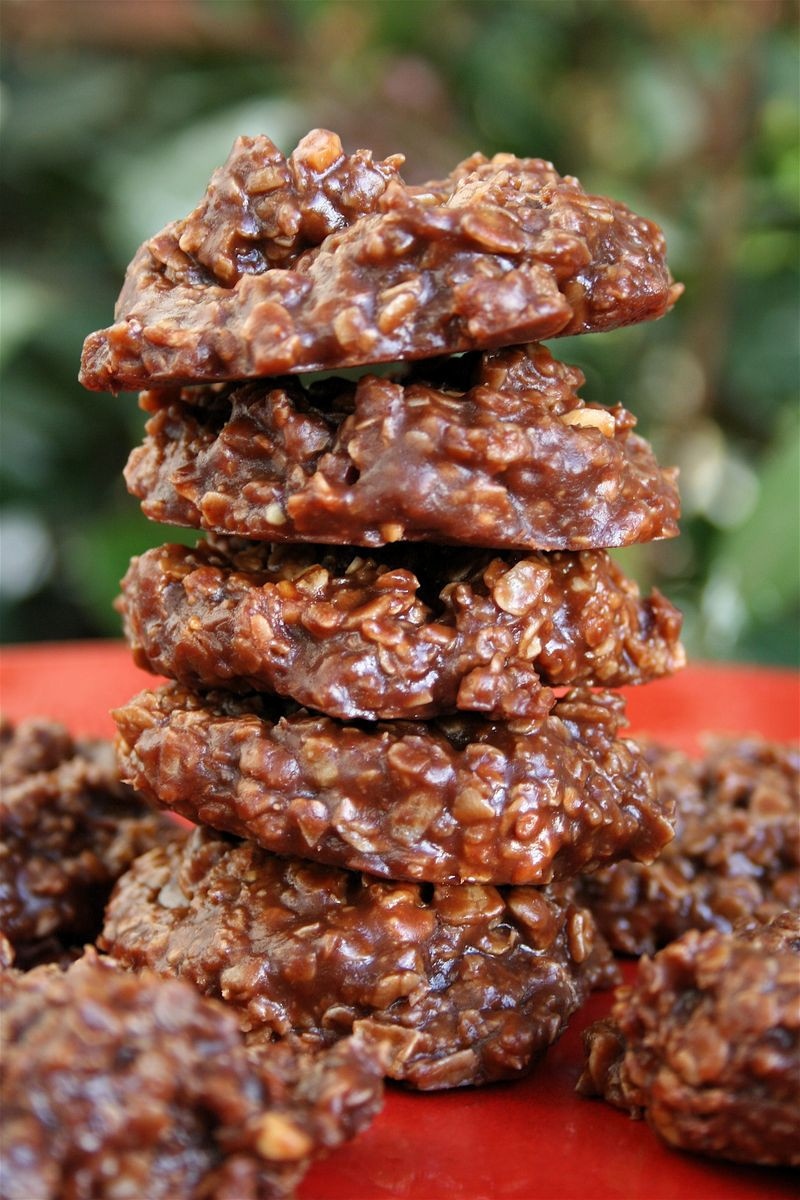 Chocolate Oatmeal No Bake Cookies
 No Bake Dessert Recipes for Summer CandyStore