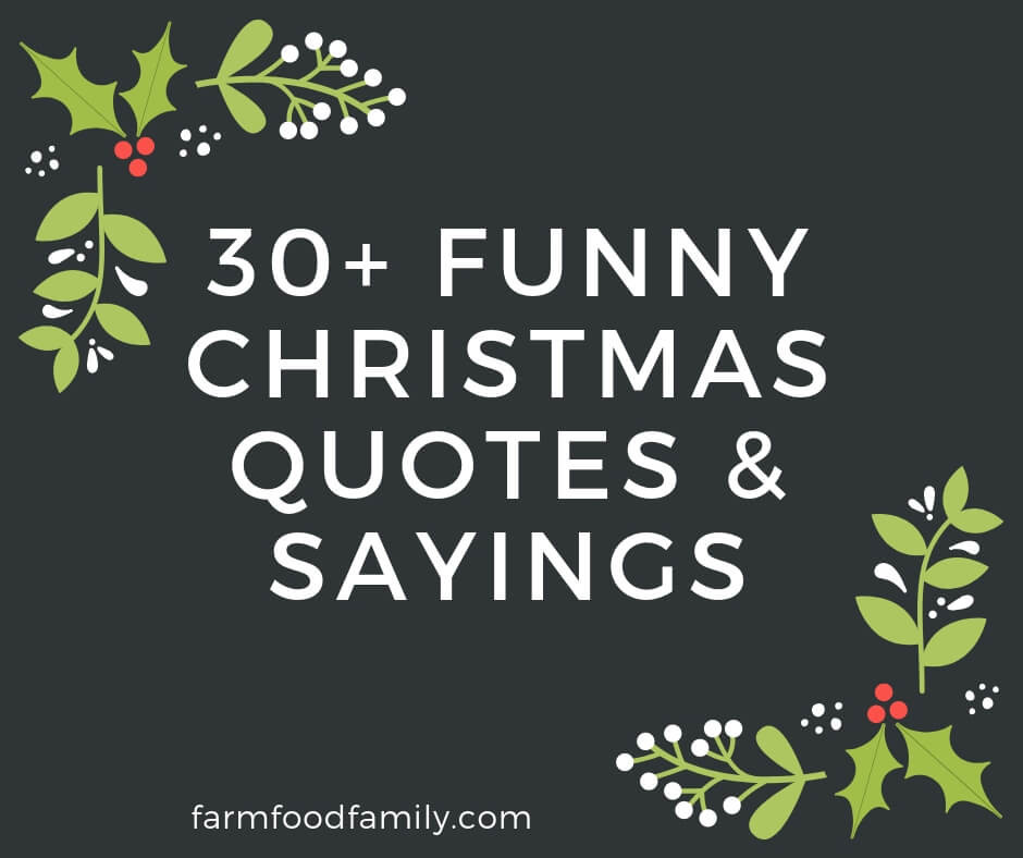 Christmas Humor Quotes
 30 Funny Christmas Quotes & Sayings That Make You Laugh