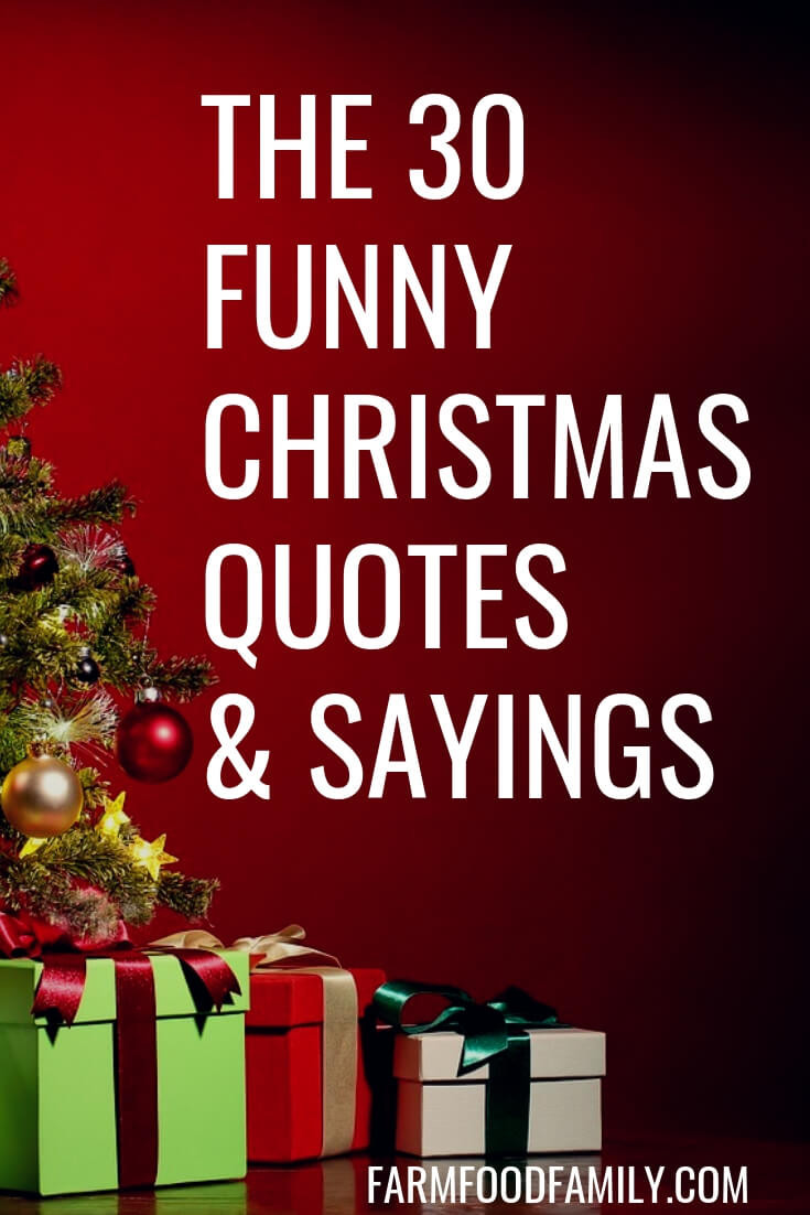 Christmas Humor Quotes
 30 Funny Christmas Quotes & Sayings That Make You Laugh