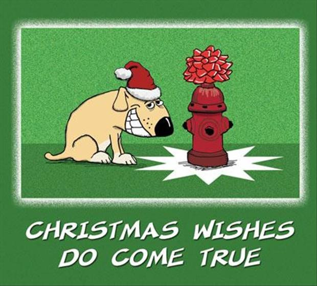 Christmas Miracle Quotes
 Funny The Day 75 Pics